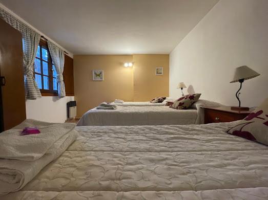 Hotel Pinto Terraza إيسكيل المظهر الخارجي الصورة